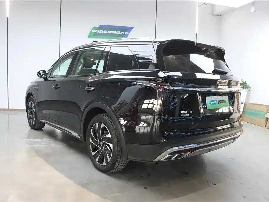 Hongqi HS7 PHEV 2024 из CN, фото 10