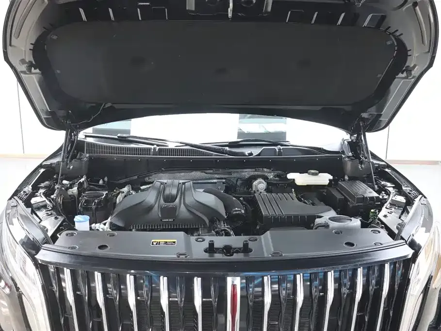 Hongqi HS7 PHEV 2024 из CN, фото 7