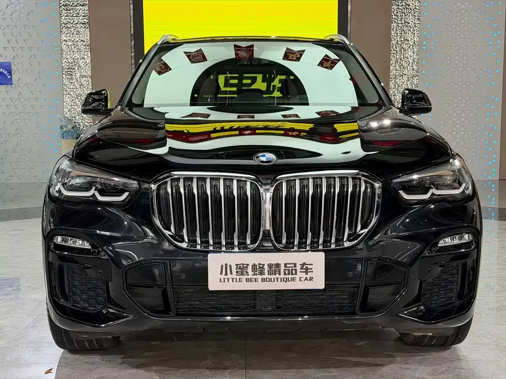 BMW X5 (Import) — фото 10
