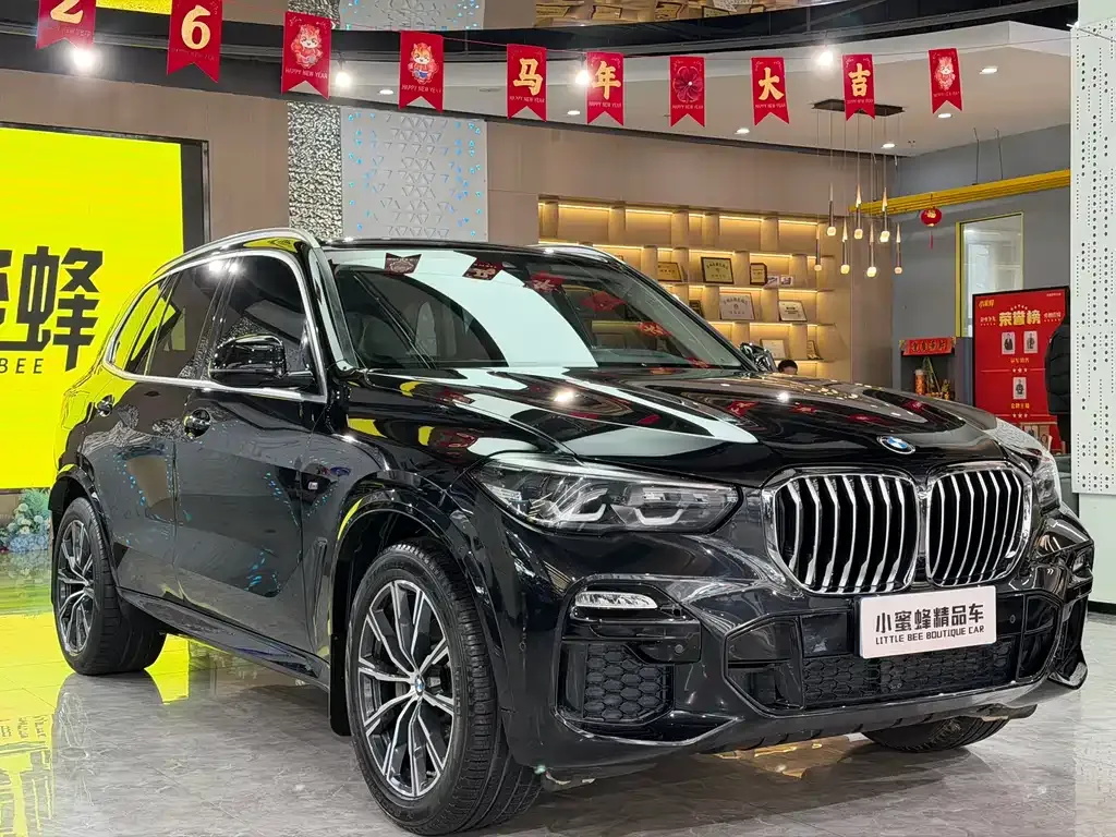 BMW X5 (Import) — фото 8