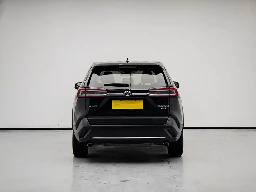 Toyota Wildlander 2021 из CN, фото 4