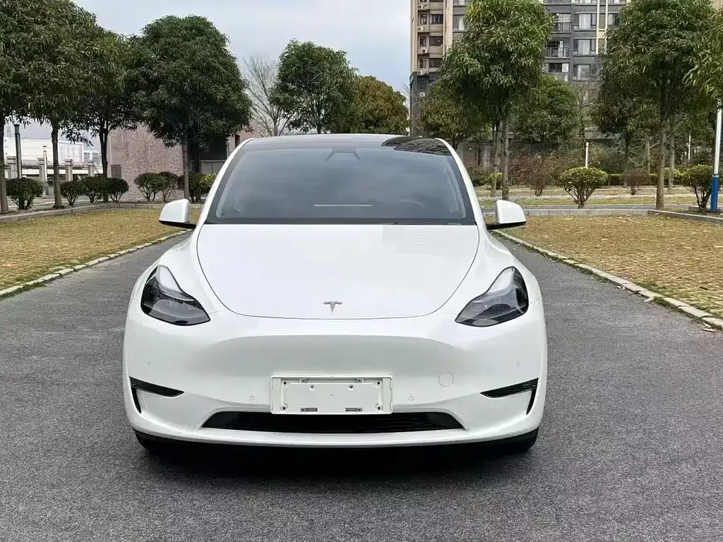 Tesla Model Y — фото 8