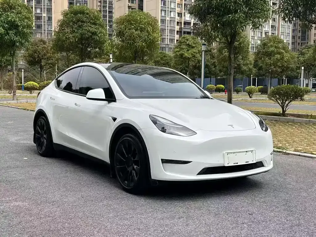 Tesla Model Y — фото 9