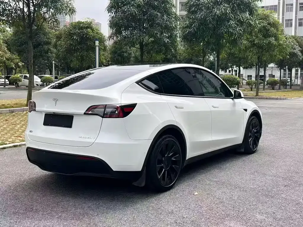 Tesla Model Y — фото 7