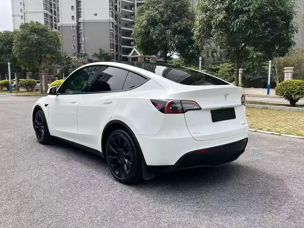 Tesla Model Y — фото 6