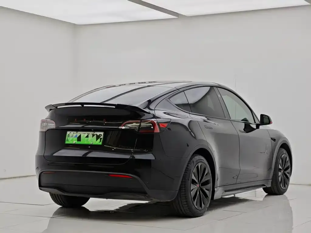 Tesla Model Y — фото 6