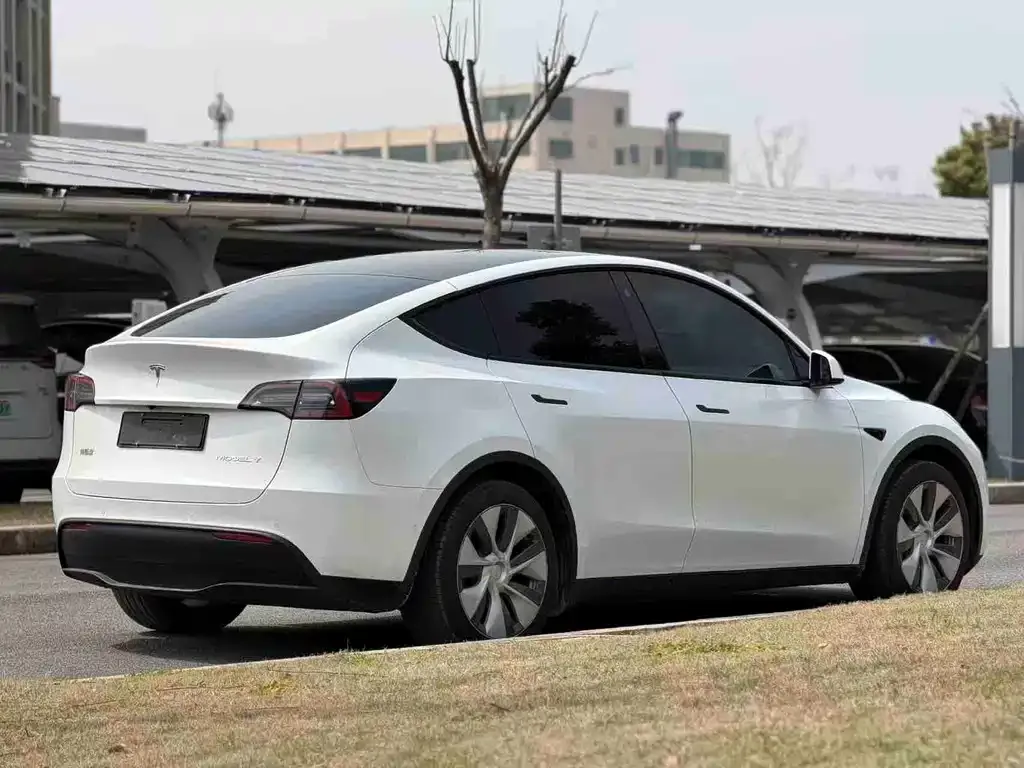 Tesla Model Y — фото 8