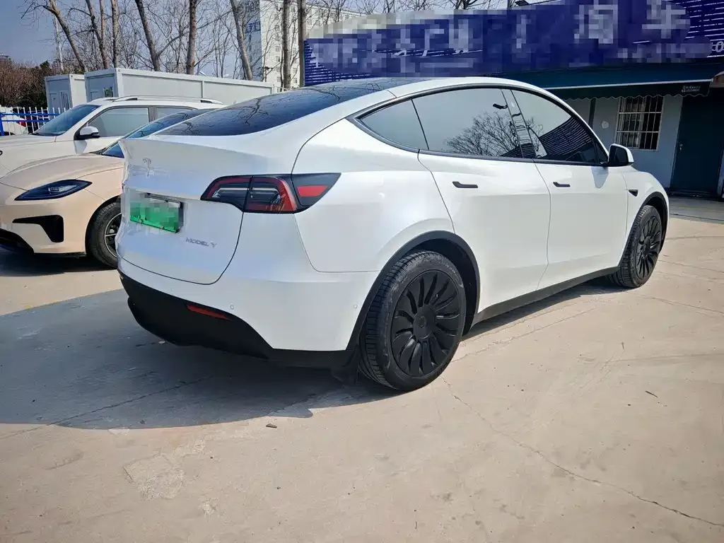 Tesla Model Y — фото 3