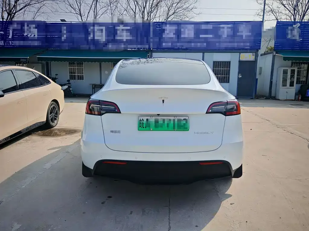 Tesla Model Y — фото 5