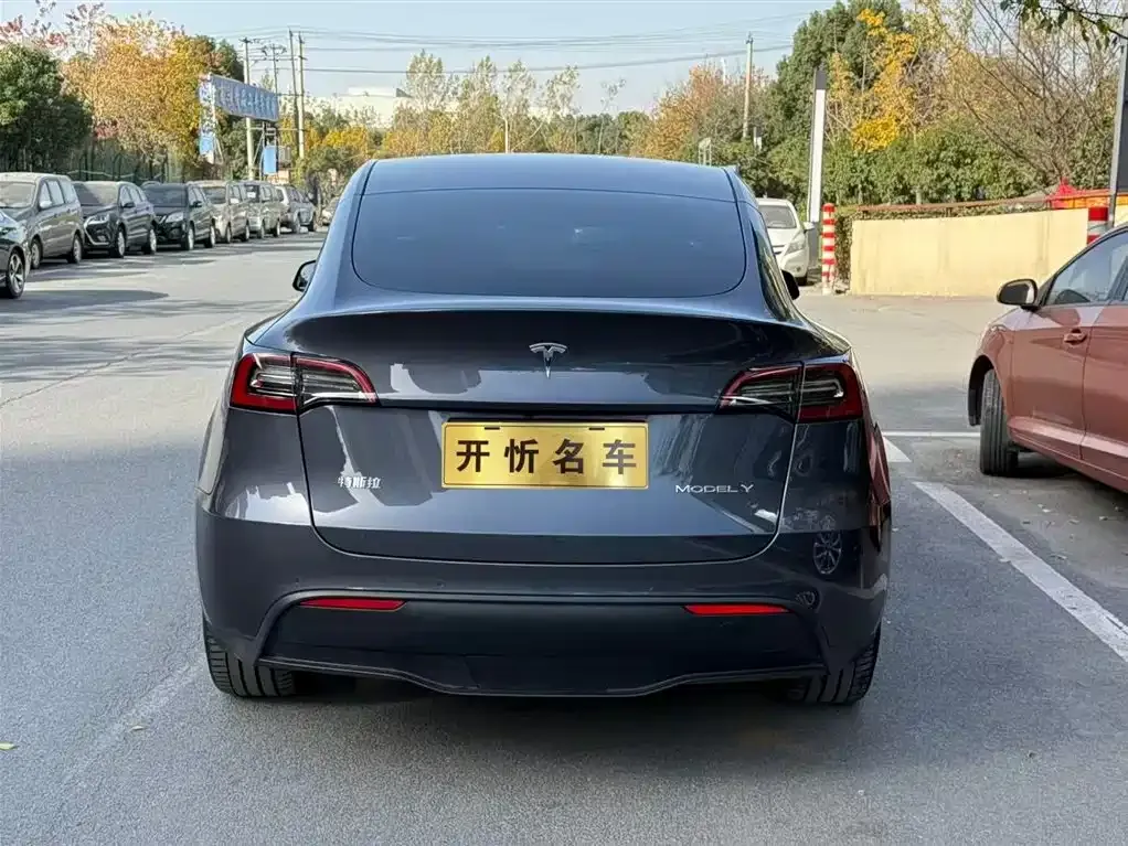 Tesla Model Y — фото 8