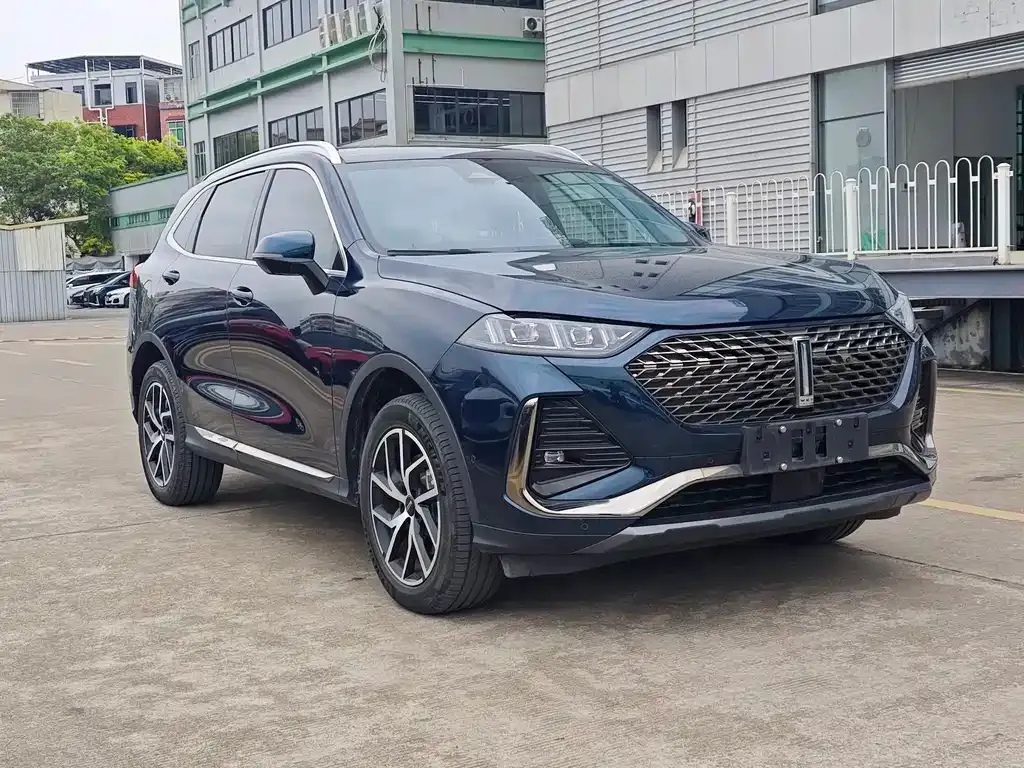 Wey Latte DHT-PHEV 2022 из CN, фото 8