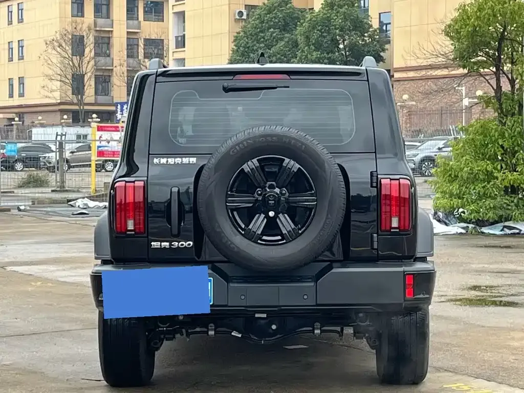 Tank 300 2025 из CN, фото 5