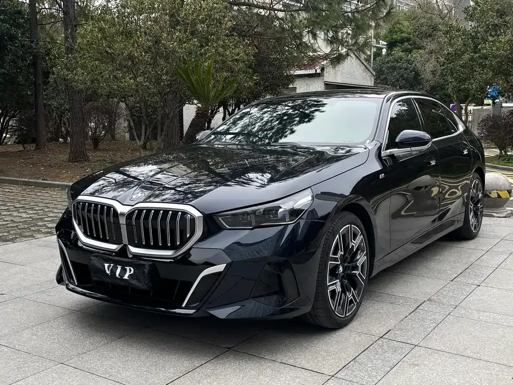 BMW 5 Series 2024 из CN, фото 1