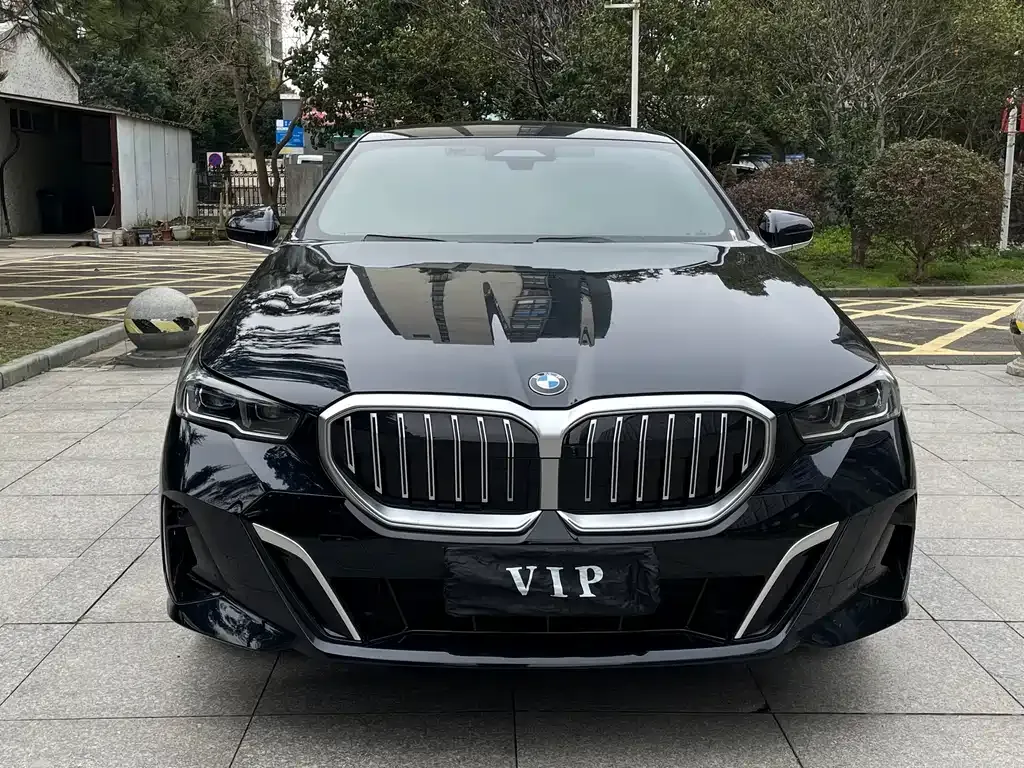 BMW 5 Series 2024 из CN, фото 8