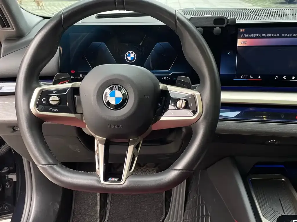 BMW 5 Series 2024 из CN, фото 4