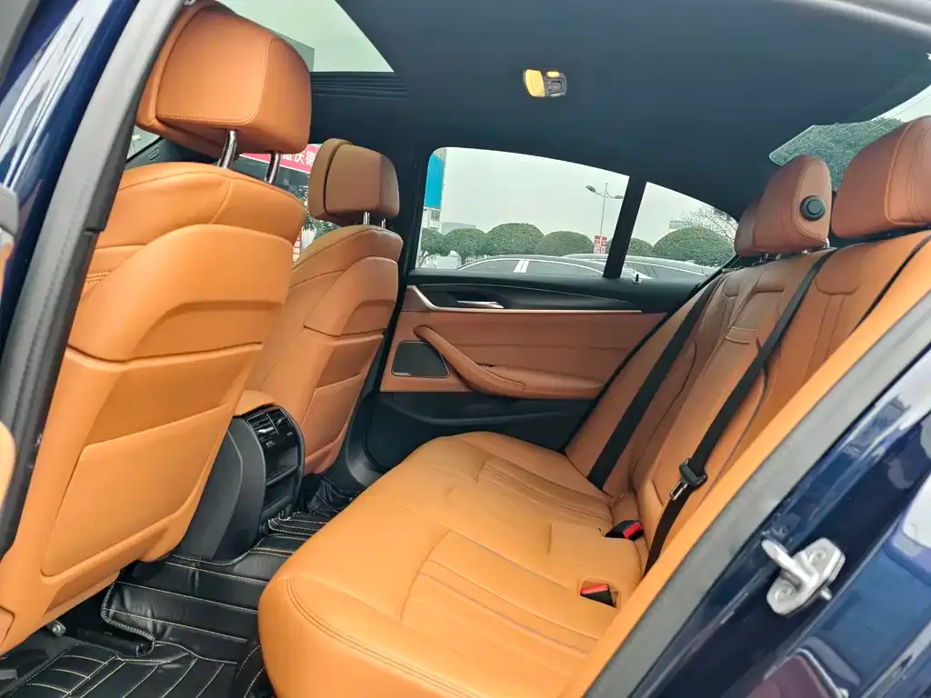 BMW 5 Series (Import) 2021 из CN, фото 2