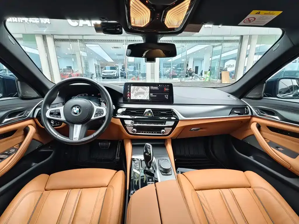 BMW 5 Series (Import) 2021 из CN, фото 6