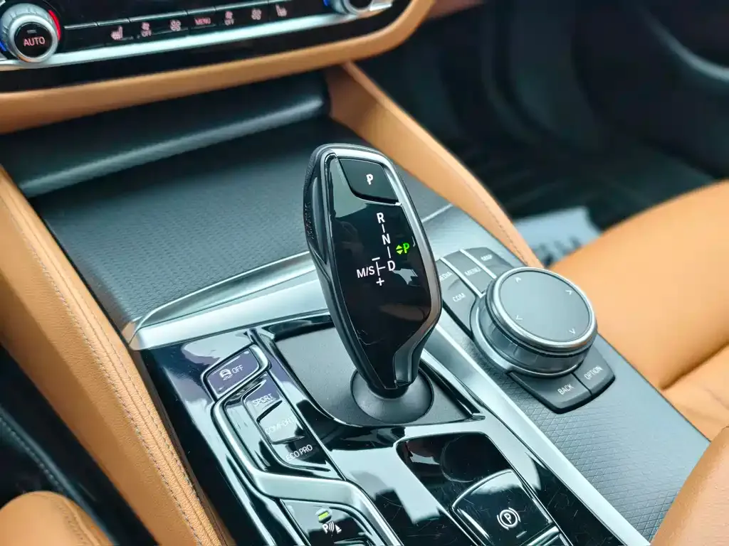 BMW 5 Series (Import) 2021 из CN, фото 9