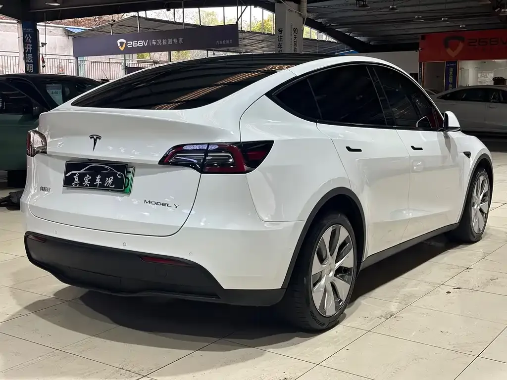 Tesla Model Y — фото 6