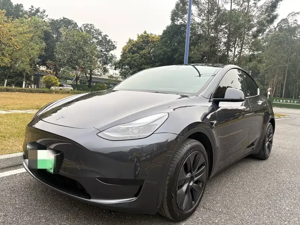 Tesla Model Y — фото 1