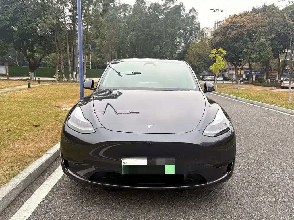 Tesla Model Y — фото 5