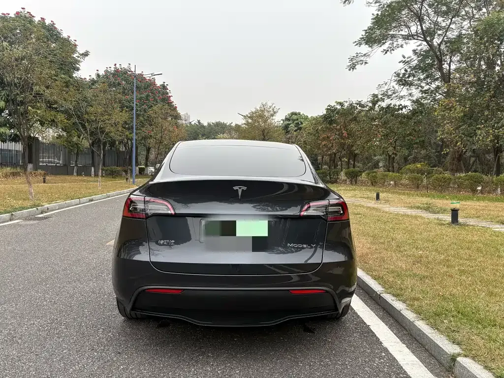 Tesla Model Y — фото 2