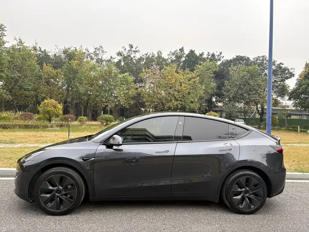 Tesla Model Y — фото 9