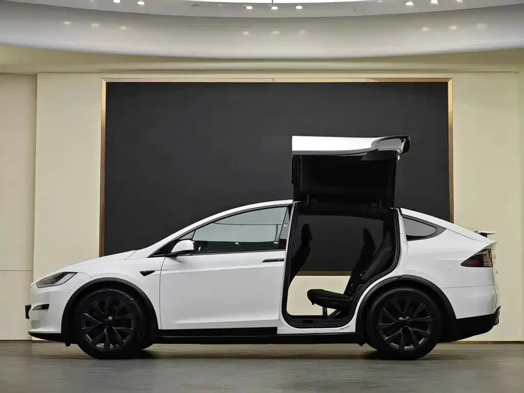 Tesla Model X 2023 из CN, фото 3