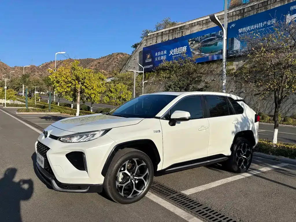 Toyota Wildlander New Energy 2022 из CN, фото 1