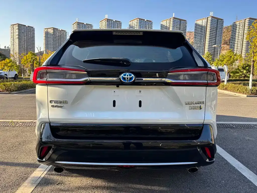 Toyota Wildlander New Energy 2022 из CN, фото 10