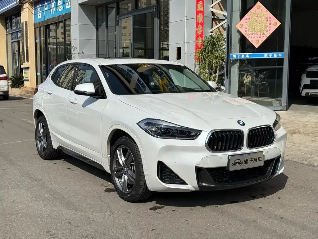 BMW X2 2022 из CN, фото 1