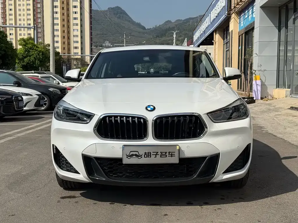 BMW X2 2022 из CN, фото 6