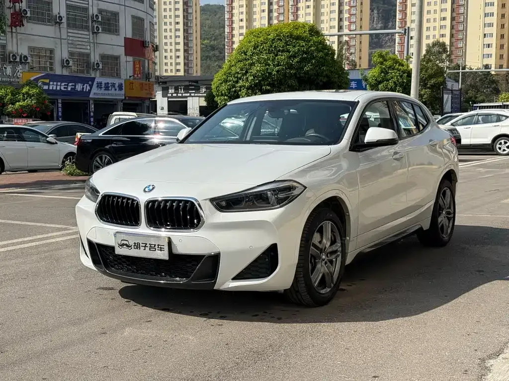 BMW X2 2022 из CN, фото 9