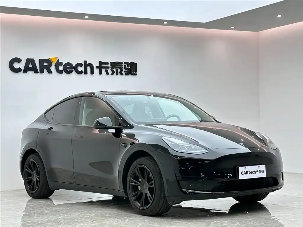 Tesla Model Y — фото 8