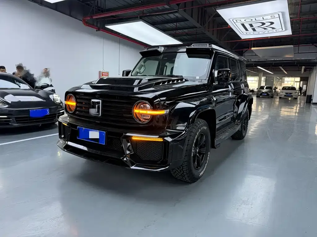 Tank 300