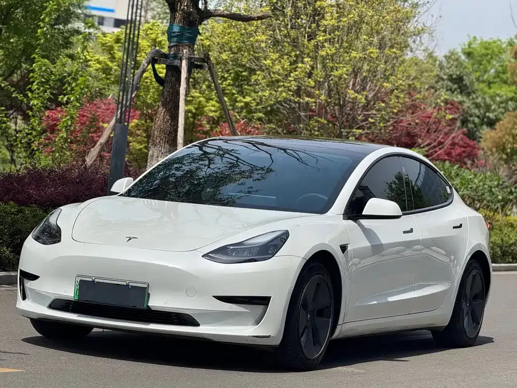 Tesla Model 3 — фото 1