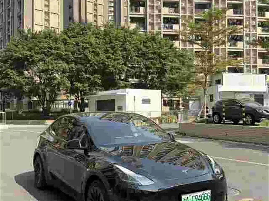 Tesla Model Y — фото 9