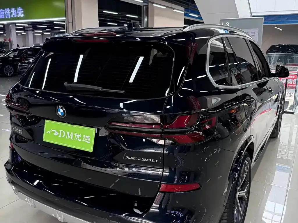 BMW X5 2024 из CN, фото 6