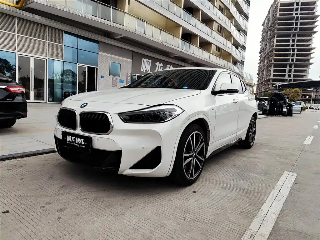BMW X2 2021 из CN, фото 1