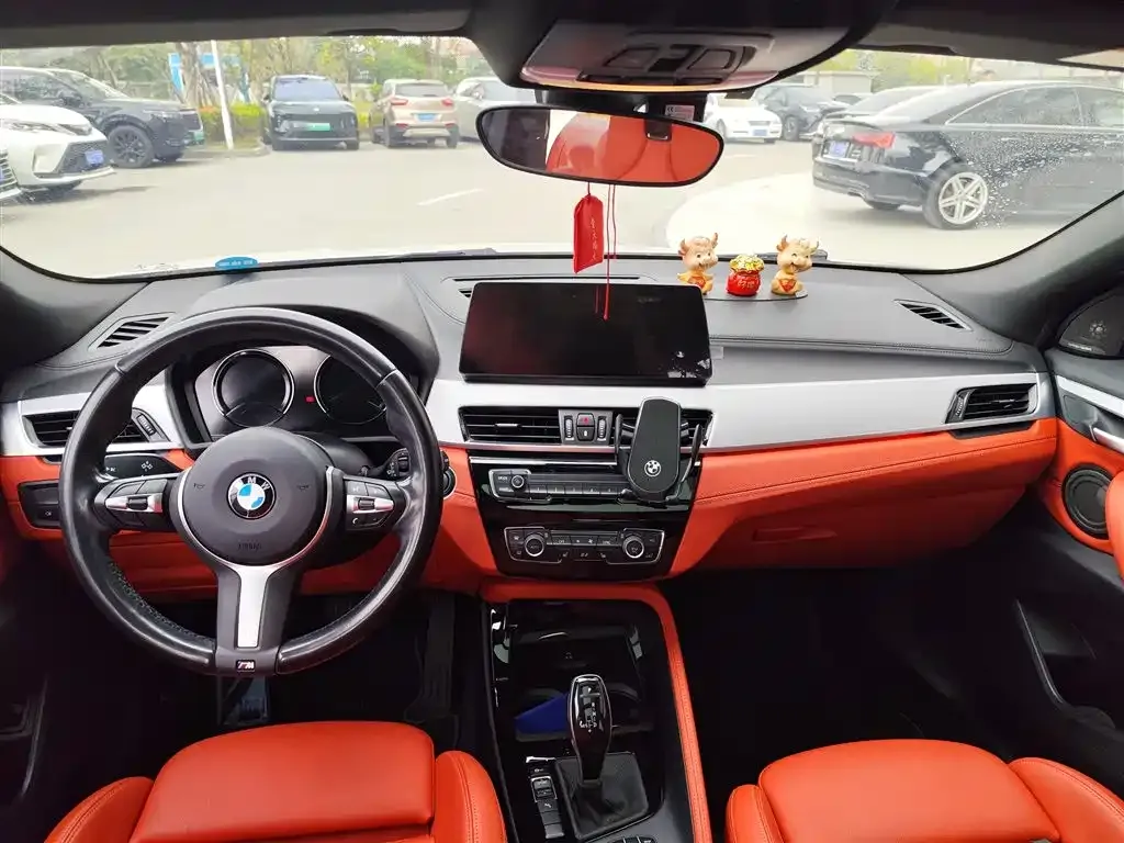 BMW X2 2021 из CN, фото 5