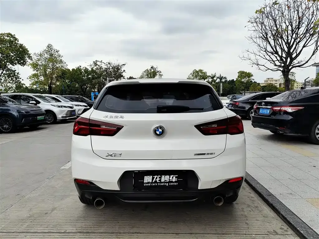 BMW X2 2021 из CN, фото 4