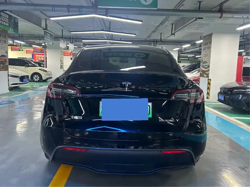 Tesla Model Y — фото 8