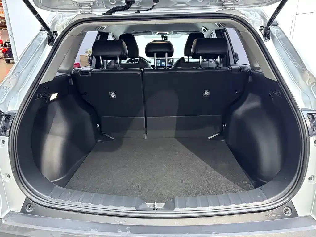 Toyota Frontlander 2024 из CN, фото 8