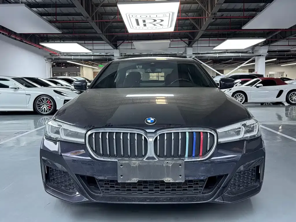 BMW 5 Series 2023 из CN, фото 9
