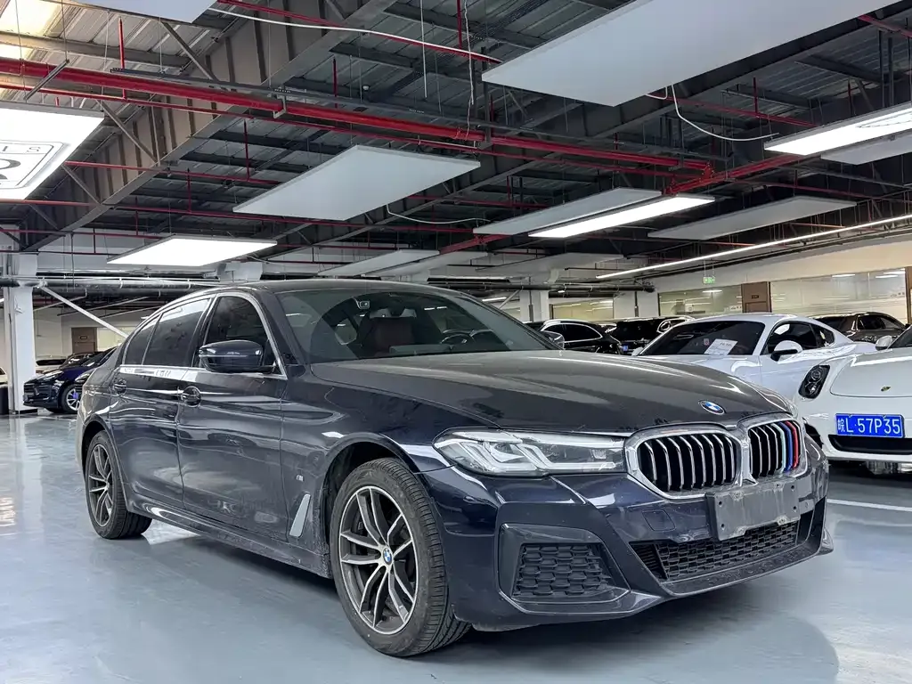 BMW 5 Series 2023 из CN, фото 8