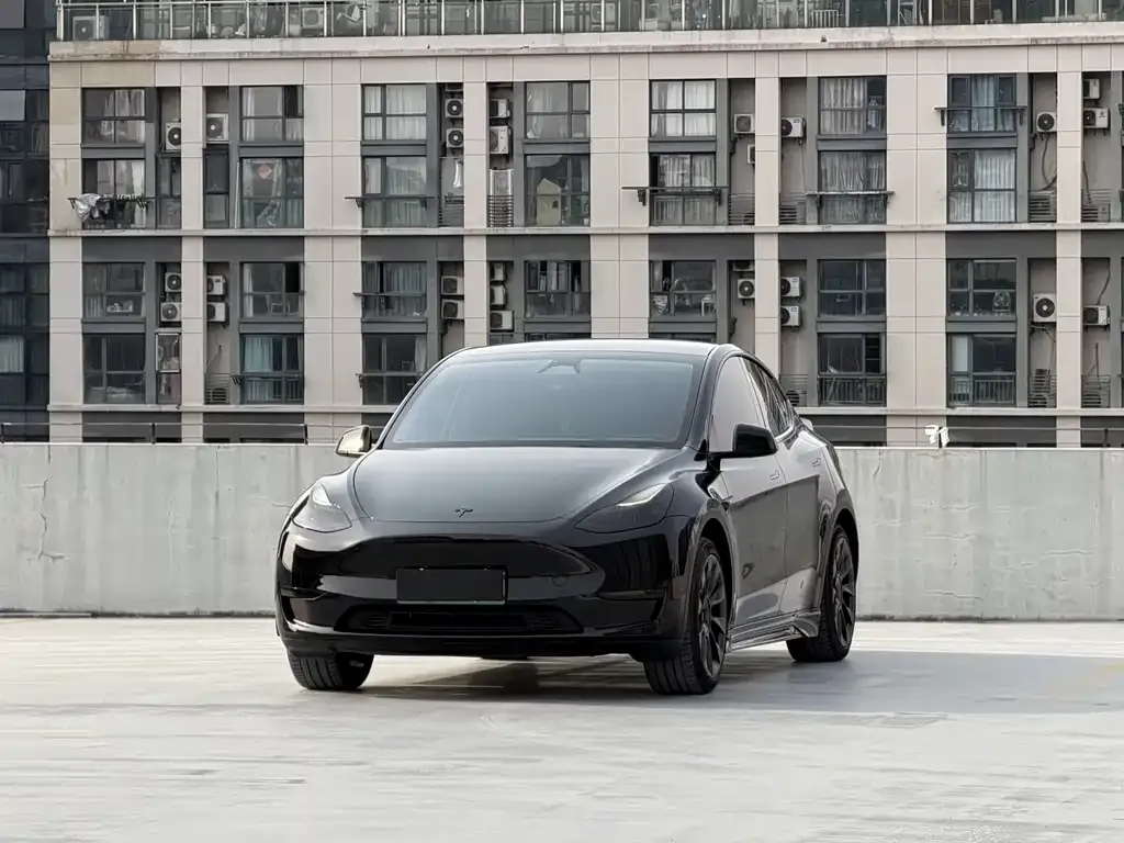 Tesla Model Y — фото 1