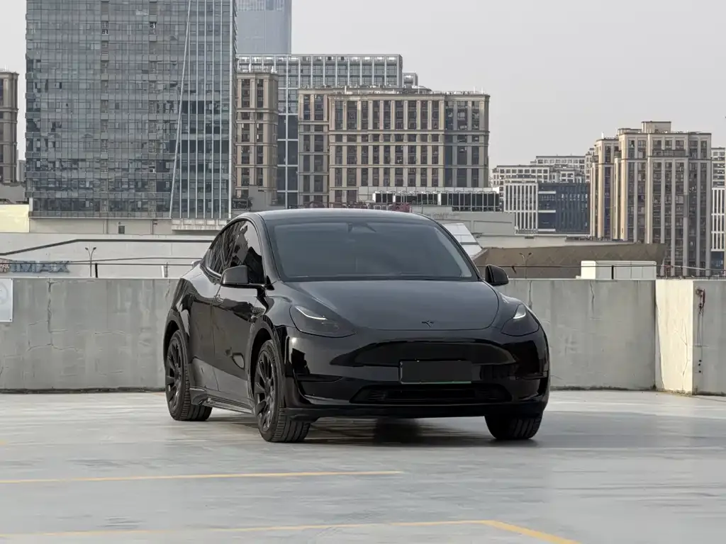 Tesla Model Y — фото 7