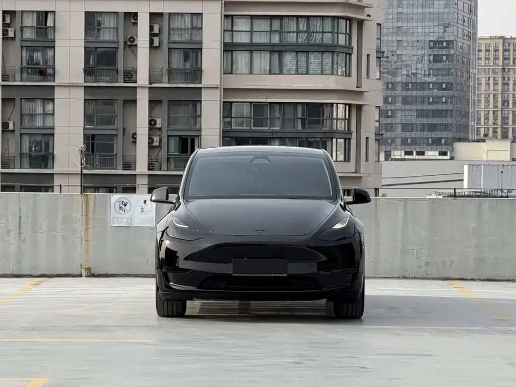Tesla Model Y — фото 5