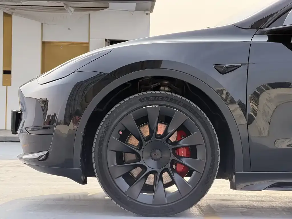 Tesla Model Y — фото 2