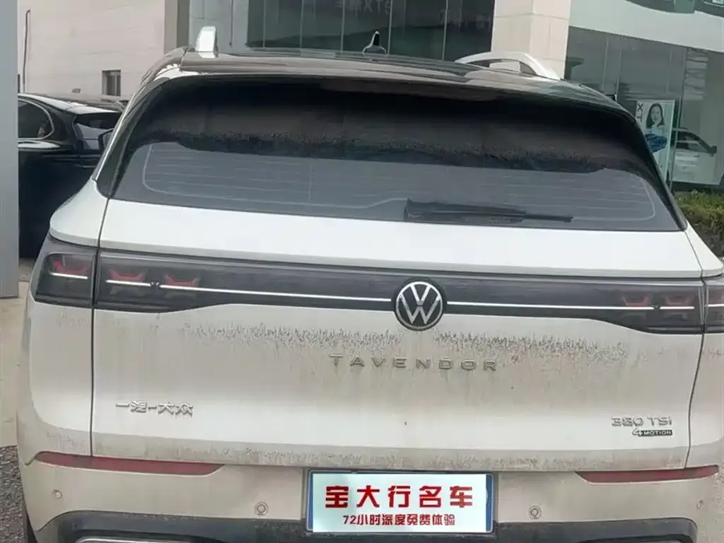 Volkswagen Tavendor 2023 из CN, фото 2